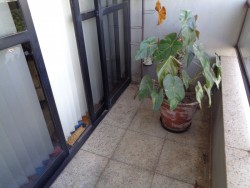 Apartamentos-ED. INDEPENDÊNCIA-foto199266