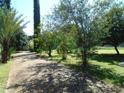 Casas-CONDOMÍNIO BONNE VIE-foto208103