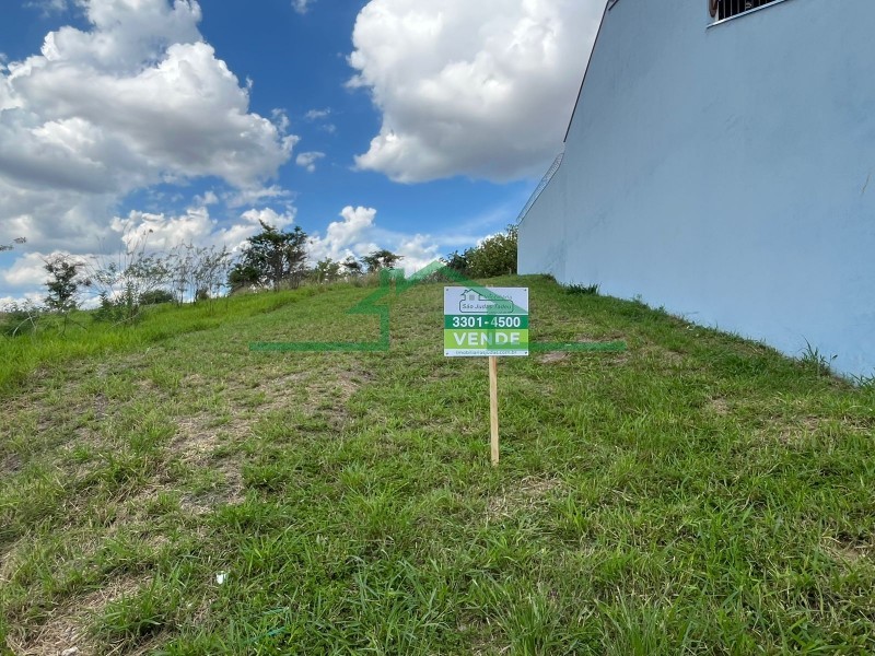 Terrenos e Chácaras-TERRAZUL-foto267165