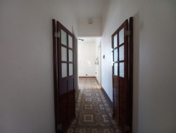 Comerciais-CENTRO-foto216730