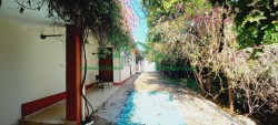 Casas-VILA INDEPENDÊNCIA-foto269516