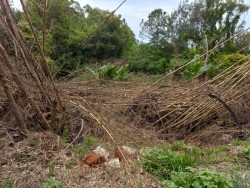 Terrenos e Chácaras-SÃO JORGE-foto220228