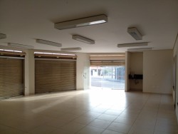 Comerciais-JARDIM CASTOR-foto221750