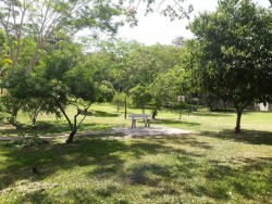 Apartamentos-ED. COLINAS DE PIRACICABA-foto221626