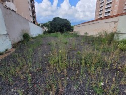 Terrenos e Chácaras-VILA MONTEIRO-foto224651