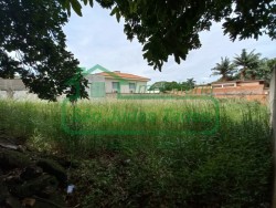 Terrenos e Chácaras-NOVA PIRACICABA-foto226892