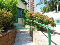 Comerciais-SÃO JUDAS-foto229883
