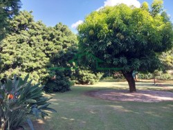 Terrenos e Chácaras-SANTA RITA-foto231410