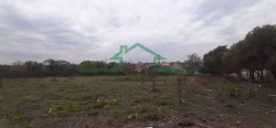 Terrenos e Chácaras-ÁREA VILA SÔNIA-foto232870