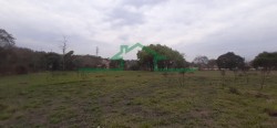 Terrenos e Chácaras-ÁREA VILA SÔNIA-foto232872