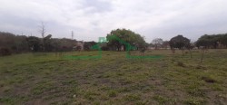 Terrenos e Chácaras-ÁREA VILA SÔNIA-foto232858