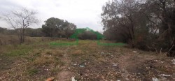 Terrenos e Chácaras-ÁREA VILA SÔNIA-foto232859
