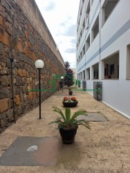 Apartamentos-ED. PARQUE DOS PINHEIROS-foto239803