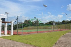 Terrenos e Chácaras-CONDOMÍNIO TERRAS DE ARTEMIS-foto243736