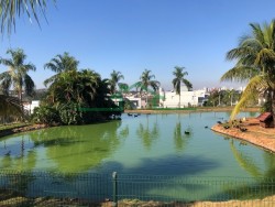 Terrenos e Chácaras-CONDOMÍNIO DAMHA-foto272399