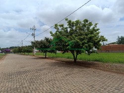 Terrenos e Chácaras-CONDOMÍNIO RESIDENCIAL RIVIERA-foto247576