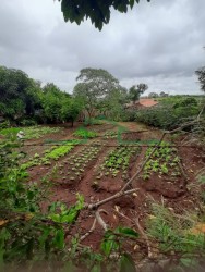 Terrenos e Chácaras-VILA FÁTIMA-foto247687