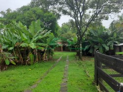 Terrenos e Chácaras-ESTÂNCIA LAGO AZUL-foto247701