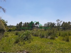 Terrenos e Chácaras-ÁREA CAMPESTRE-foto248992
