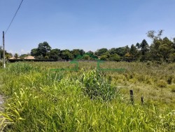 Terrenos e Chácaras-ÁREA CAMPESTRE-foto248993