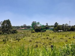 Terrenos e Chácaras-ÁREA CAMPESTRE-foto248995