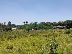 Terrenos e Chácaras-ÁREA CAMPESTRE-foto248990