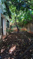 Terrenos e Chácaras-PAULISTA-foto255276