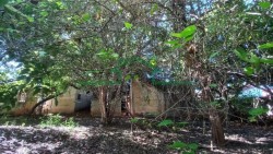 Terrenos e Chácaras-PAULISTA-foto255280