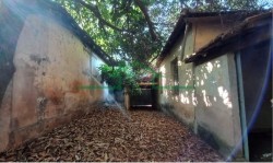 Terrenos e Chácaras-PAULISTA-foto255281