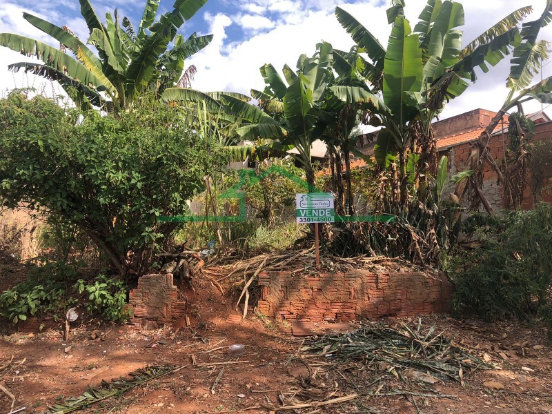 Terrenos e Chácaras-SANTA RITA-foto255266