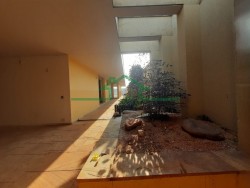 Casas-CENTRO-foto256851