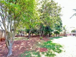 Terrenos e Chácaras-SANTA RITA-foto264458