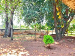 Terrenos e Chácaras-SANTA RITA-foto264466
