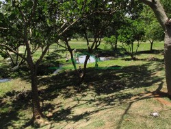 Terrenos e Chácaras-CONDOMÍNIO RESERVA DO ENGENHO-foto269778