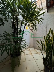 Casas-PARQUE CONCEIÇÃO II-foto270478