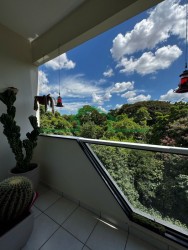 Apartamentos-ED. PIRATININGA-foto270492