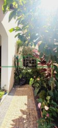 Casas-SÃO JUDAS-foto272326