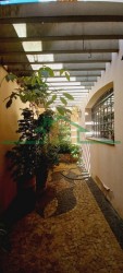 Casas-SÃO JUDAS-foto272353