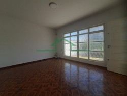 Comerciais-SÃO JUDAS-foto272085