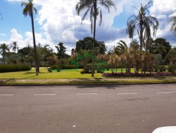 Terrenos e Chácaras-CONDOMÍNIO MOINHO VERMELHO -foto274099