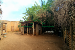 Terrenos e Chácaras-DOIS CÓRREGOS-foto274355