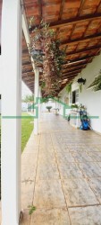Casas-DOIS CÓRREGOS-foto274224