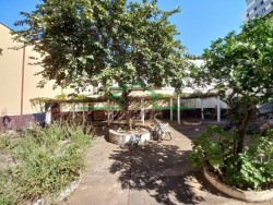 Terrenos e Chácaras-CENTRO-foto275233