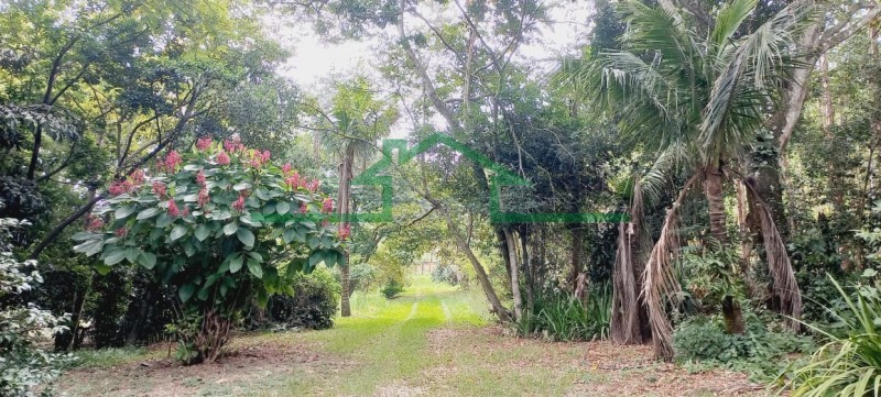 Terrenos e Chácaras-SÍTIO TUPI-foto276834