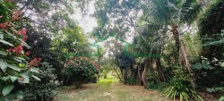 Terrenos e Chácaras-SÍTIO TUPI-foto276835