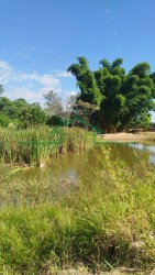 Terrenos e Chácaras-SÍTIO TUPI-foto276833