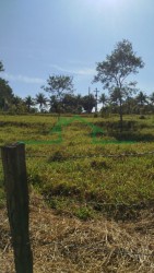 Terrenos e Chácaras-SÍTIO TUPI-foto276832