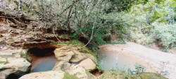Terrenos e Chácaras-SÍTIO TUPI-foto276847