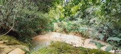 Terrenos e Chácaras-SÍTIO TUPI-foto276848