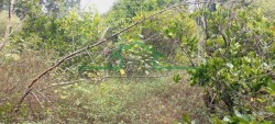 Terrenos e Chácaras-SÍTIO TUPI-foto276850